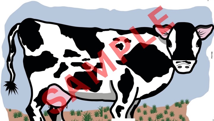 Milk a Cow
